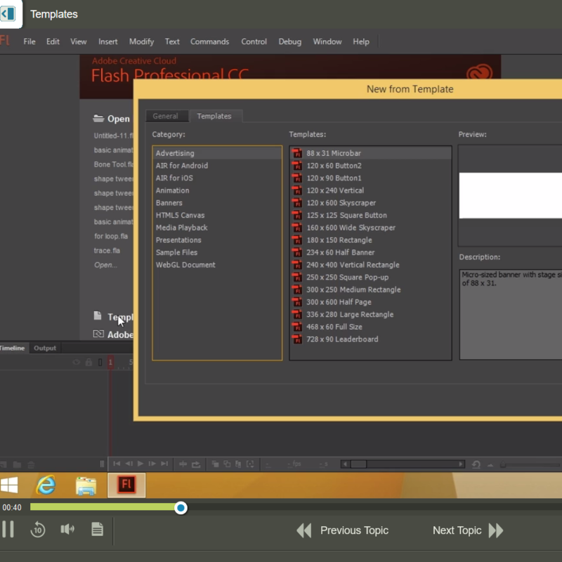 Adobe Flash Professional CC 2015 E-Learning Kurs