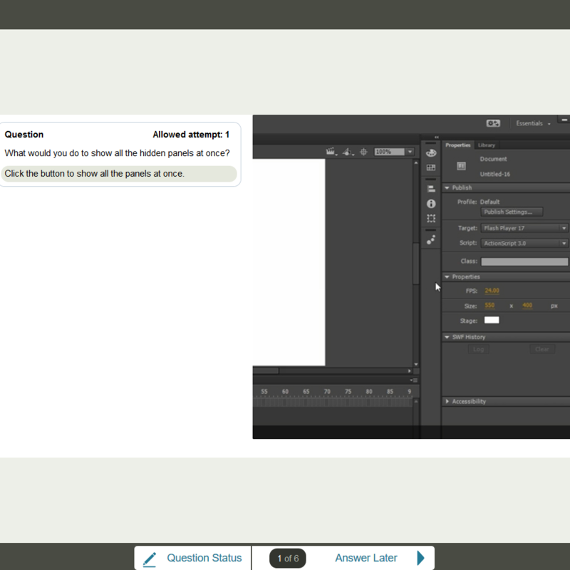 Adobe Flash Professional CC 2015 E-Learning Kurs