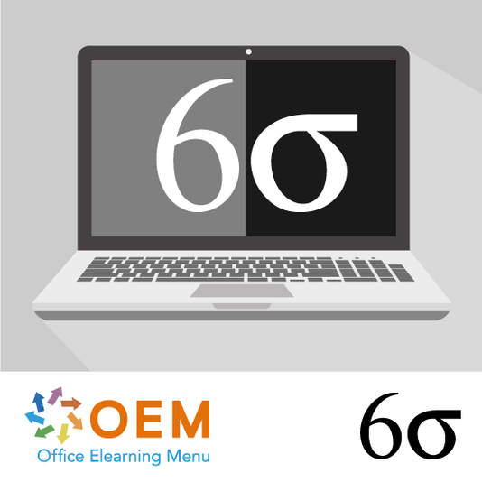 Six Sigma Black Belt E-Learning Kurs