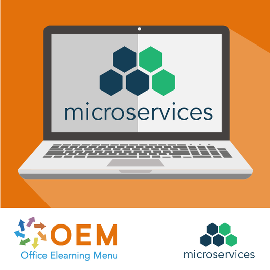Microservices Architecture E-Learning Kurs
