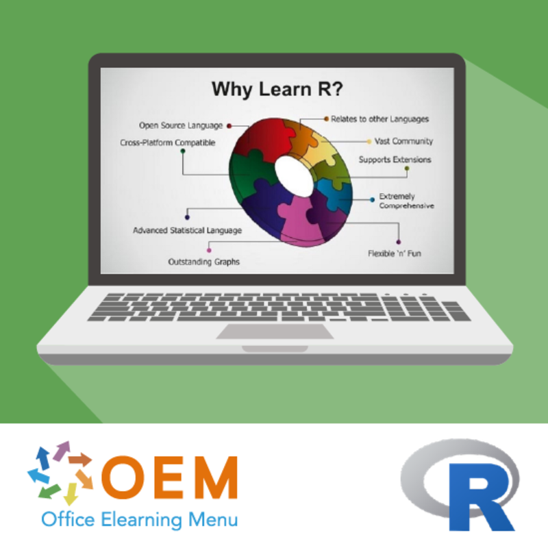 Introduction to R Programming E-Learning Kurs