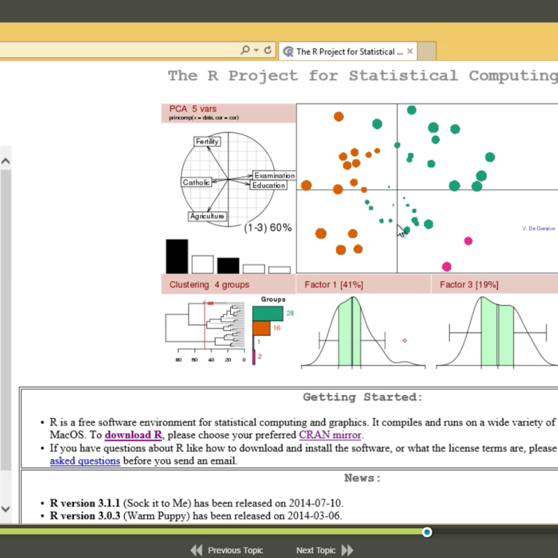 Introduction to R Programming E-Learning Kurs