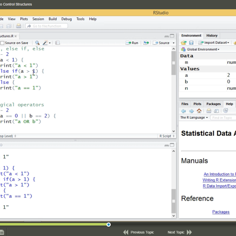 Introduction to R Programming E-Learning Kurs