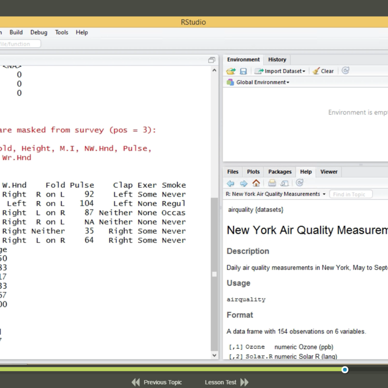 Introduction to R Programming E-Learning Kurs