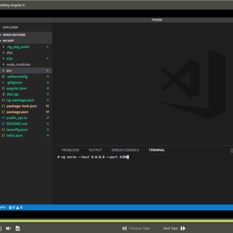 Angular 6 Development E-Learning Kurs
