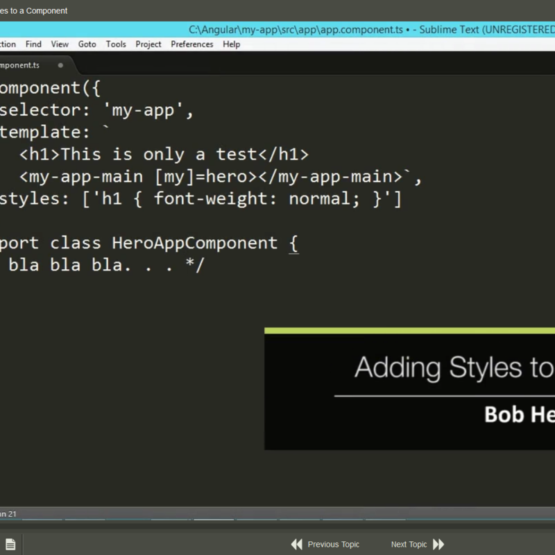 Angular 4 Application Development E-Learning Kurs