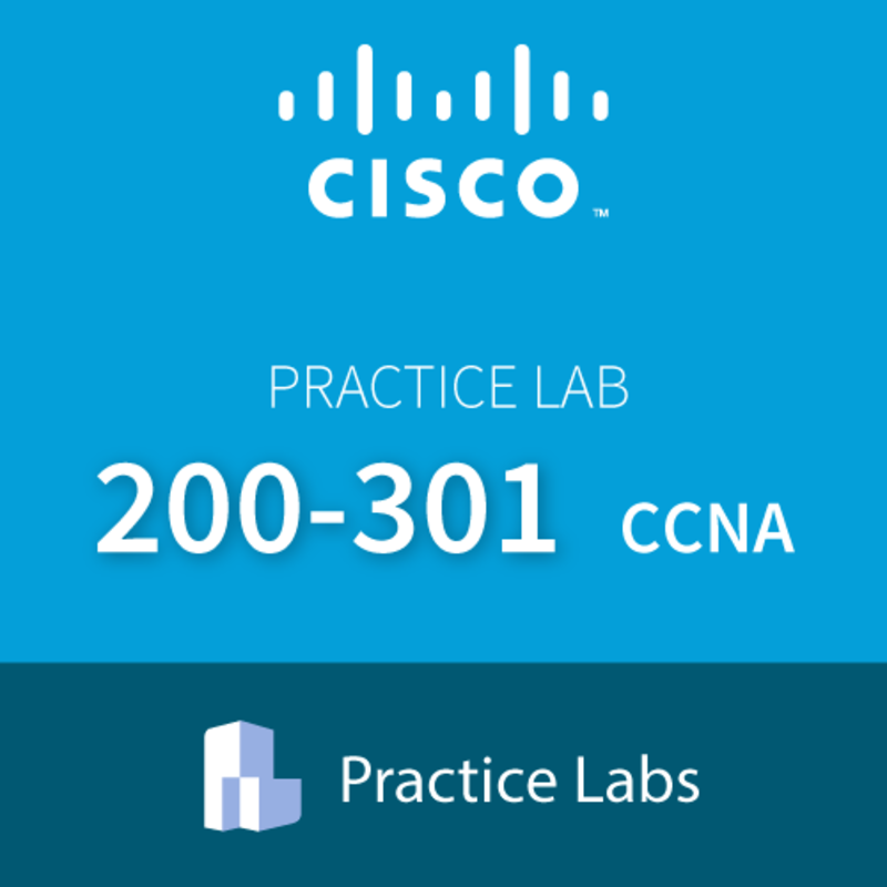 200-301 Cisco Certified Network Associate CCNA Live Labs