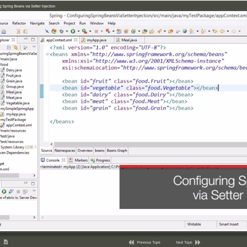 Developing Applications Using Java Spring Ausbildung