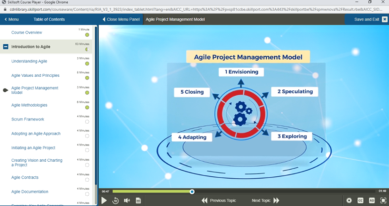 PMI Agile Certified Practitioner (PMI-ACP)® Ausbildung