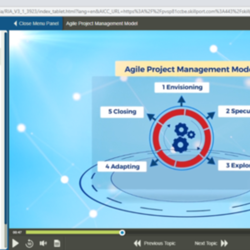PMI Agile Certified Practitioner (PMI-ACP)® Ausbildung