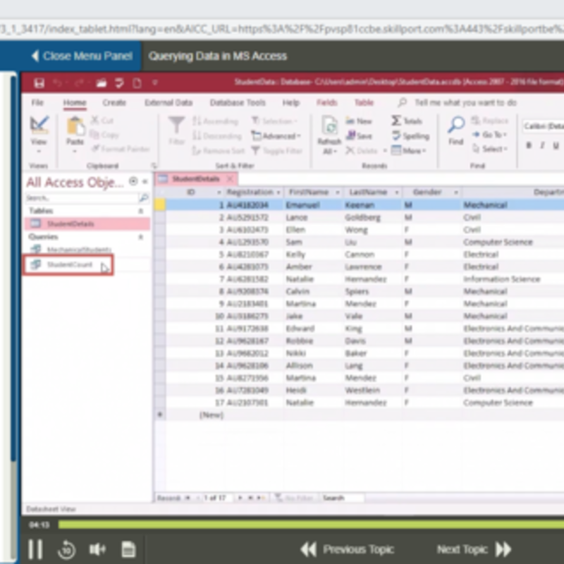 Automating Excel and Access Using VBA E-Learning Kurs