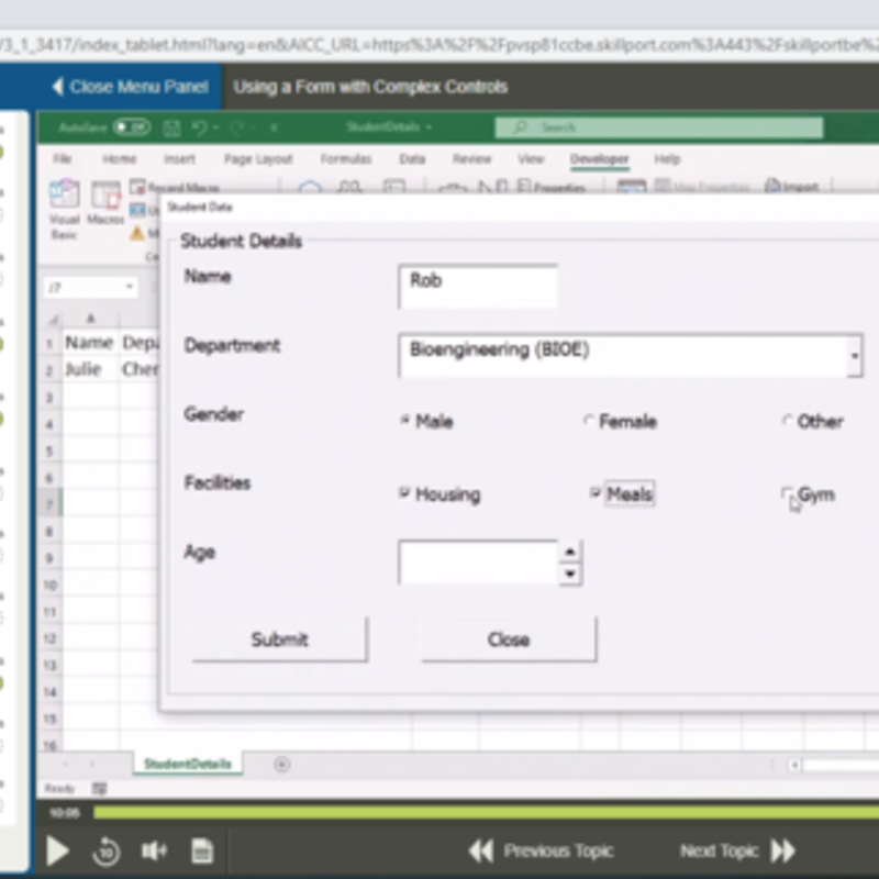 Automating Excel and Access Using VBA E-Learning Kurs