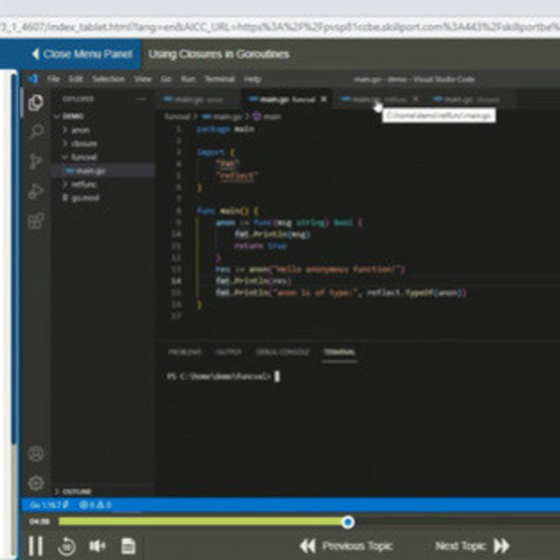 Advanced Programming in Go E-Learning Kurs