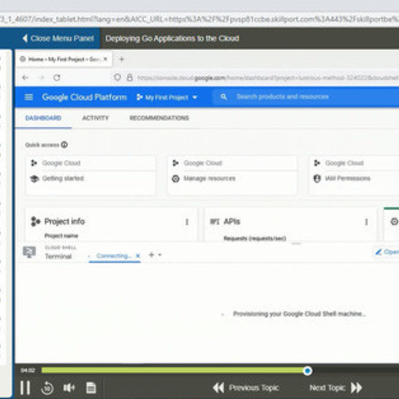 Advanced Programming in Go E-Learning Kurs