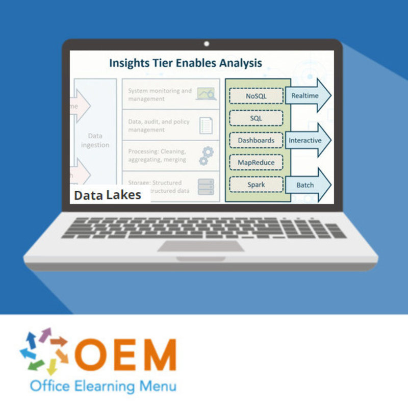 Data Silos Lakes and Streams E-Learning Kurs
