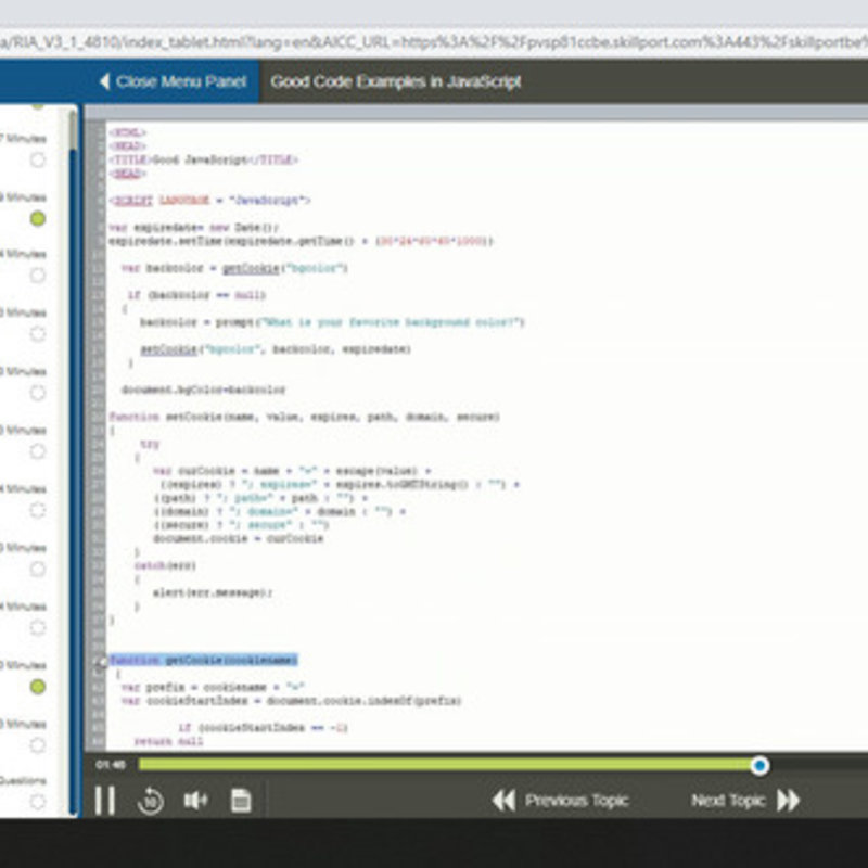 Programming Standards for Secure Programmer E-Learning Kurs
