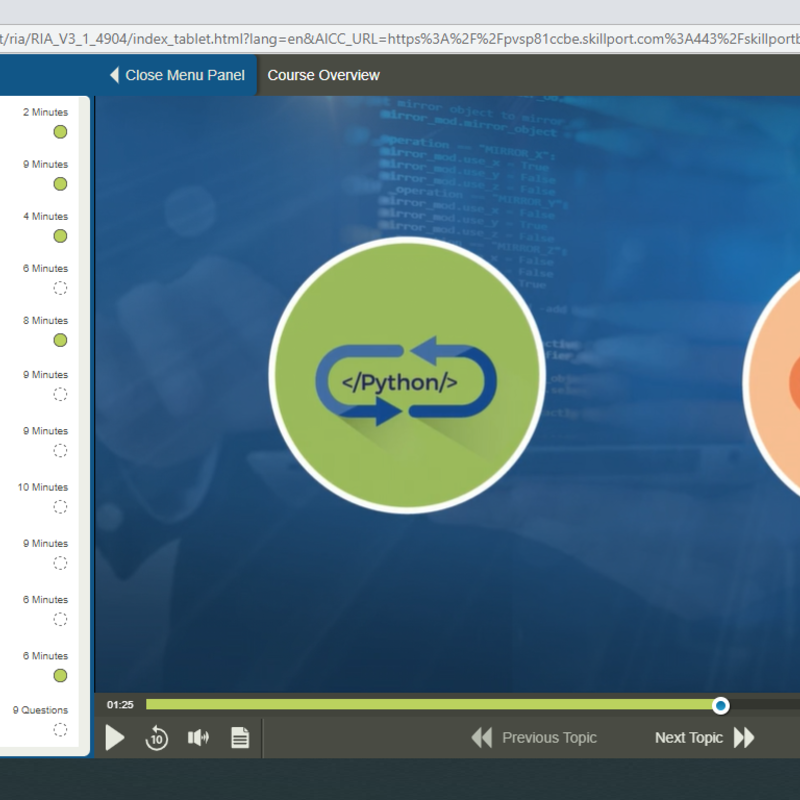 Python Conditional Statements and Loops E-Learning Kurs
