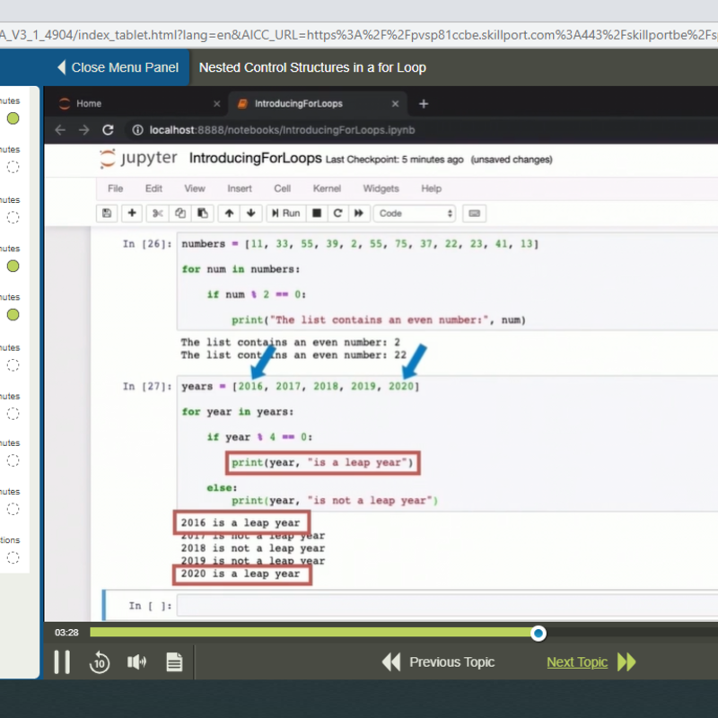 Python Conditional Statements and Loops E-Learning Kurs