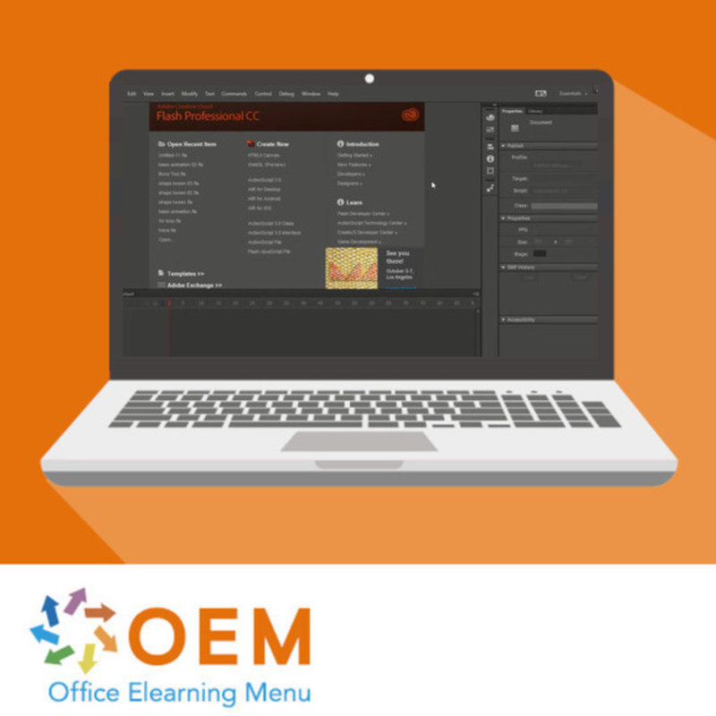 Adobe Flash Professional CC 2015 E-Learning Kurs