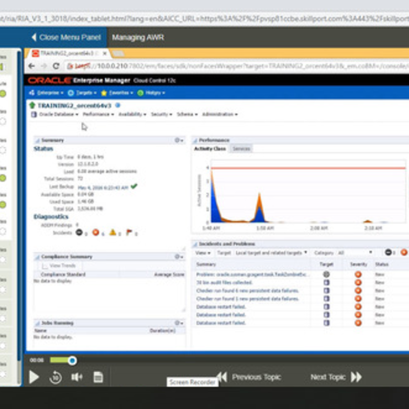 Oracle Database 11g Performance tuning exam 1Z0-054 E-Learning Kurs