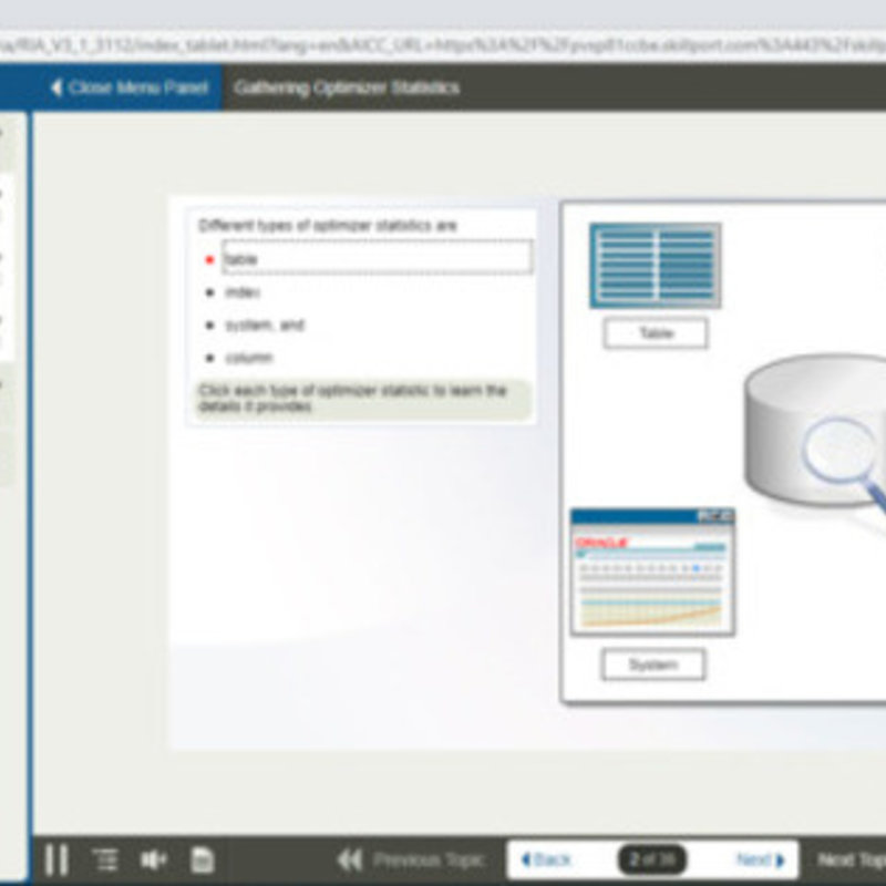 Oracle Database 11g SQL Tuning E-Learning Kurs