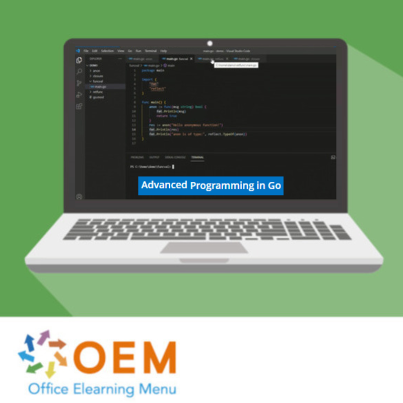 Advanced Programming in Go E-Learning Kurs
