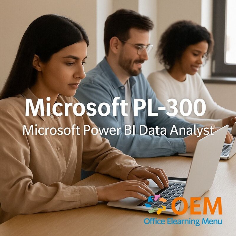 PL-300 Microsoft Power BI Data Analyst Ausbildung
