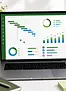 Microsoft Project E-Learning