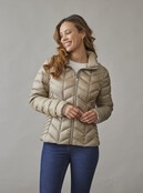 0125-2040-62/12 Daisy