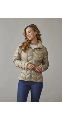 0125-2040-62/12 Daisy