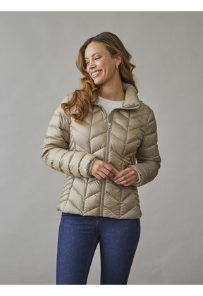 0125-2040-62/12 Daisy