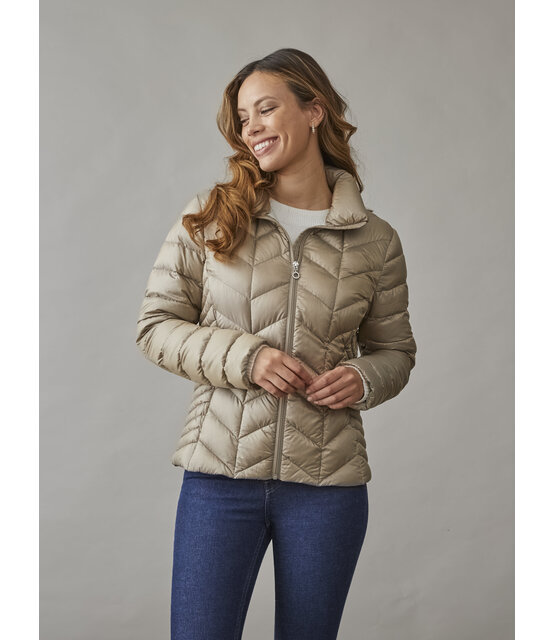 0125-2040-62/12 Daisy