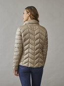 0125-2040-62/12 Daisy