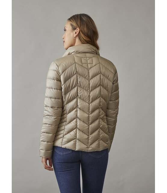 0125-2040-62/12 Daisy