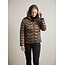 Junge 0226-2040-62/64 Daisy