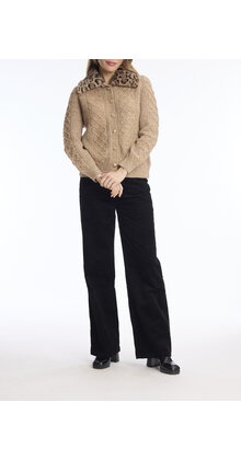 KH049 Camel