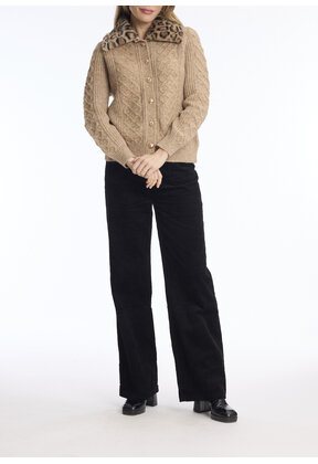 KH049 Camel