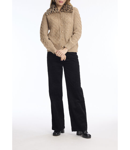 KH049 Camel