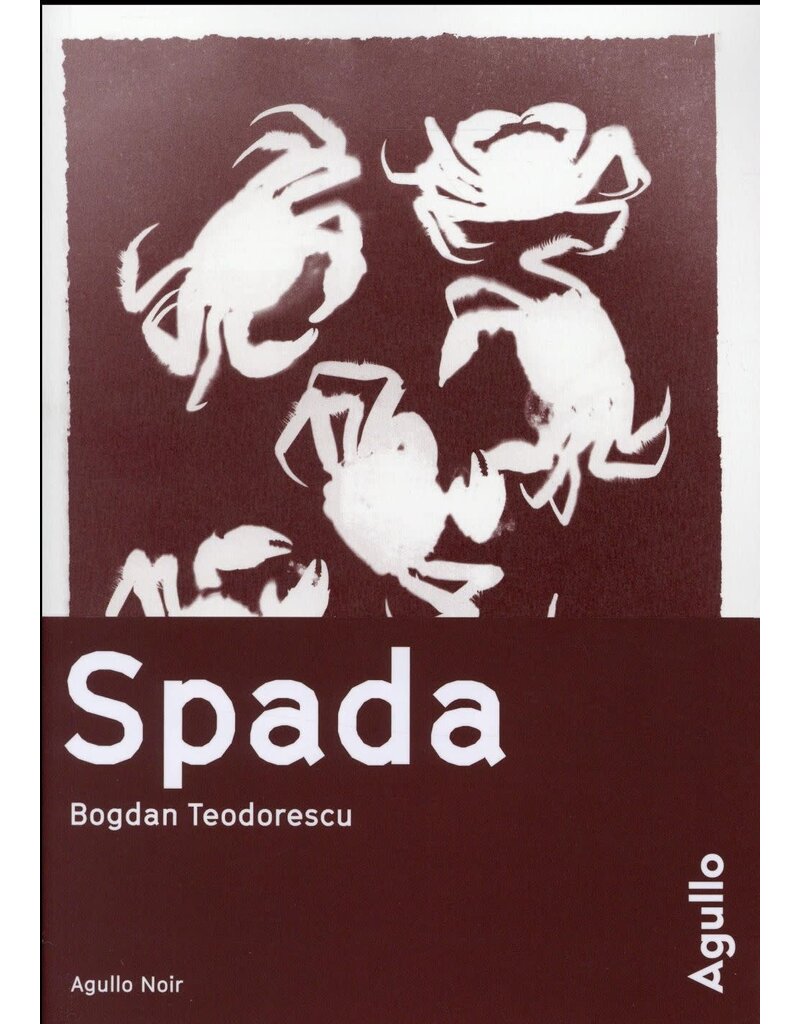 TEODORESCU Bogdan Spada