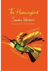 Sandro Verronesi The hummingbird