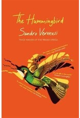 Sandro Verronesi The hummingbird