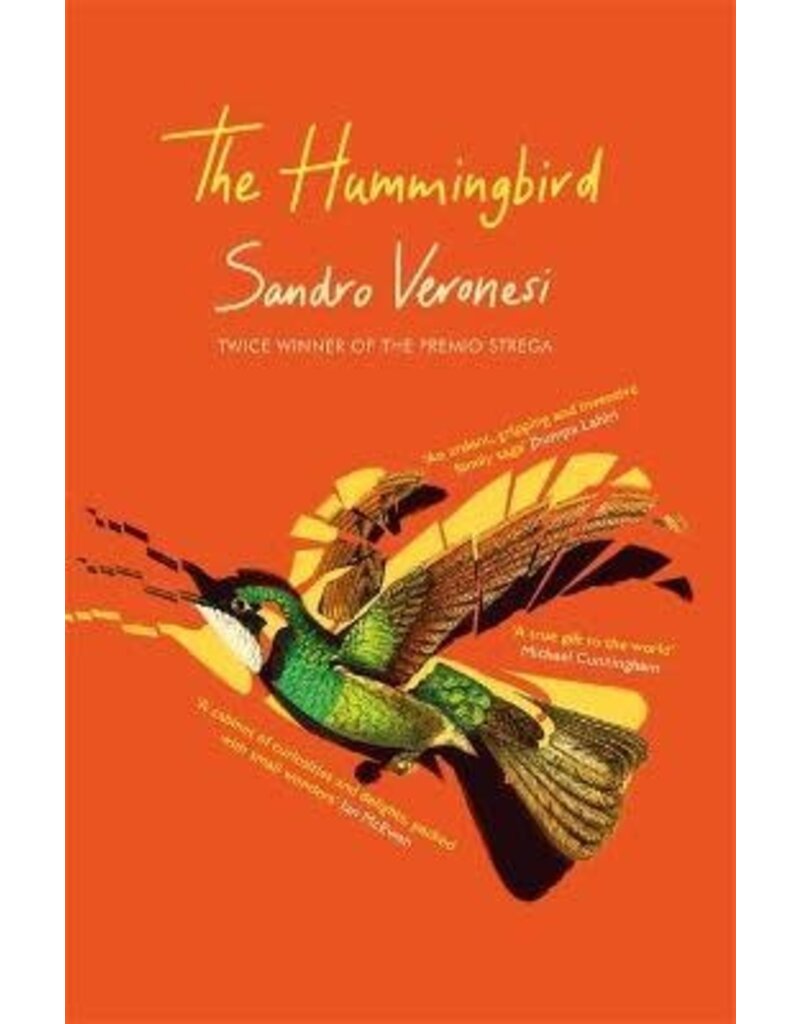 Sandro Verronesi The hummingbird