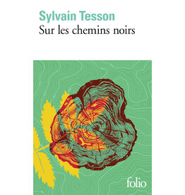 TESSON Sylvain Sur les chemins noirs #LibreBookS