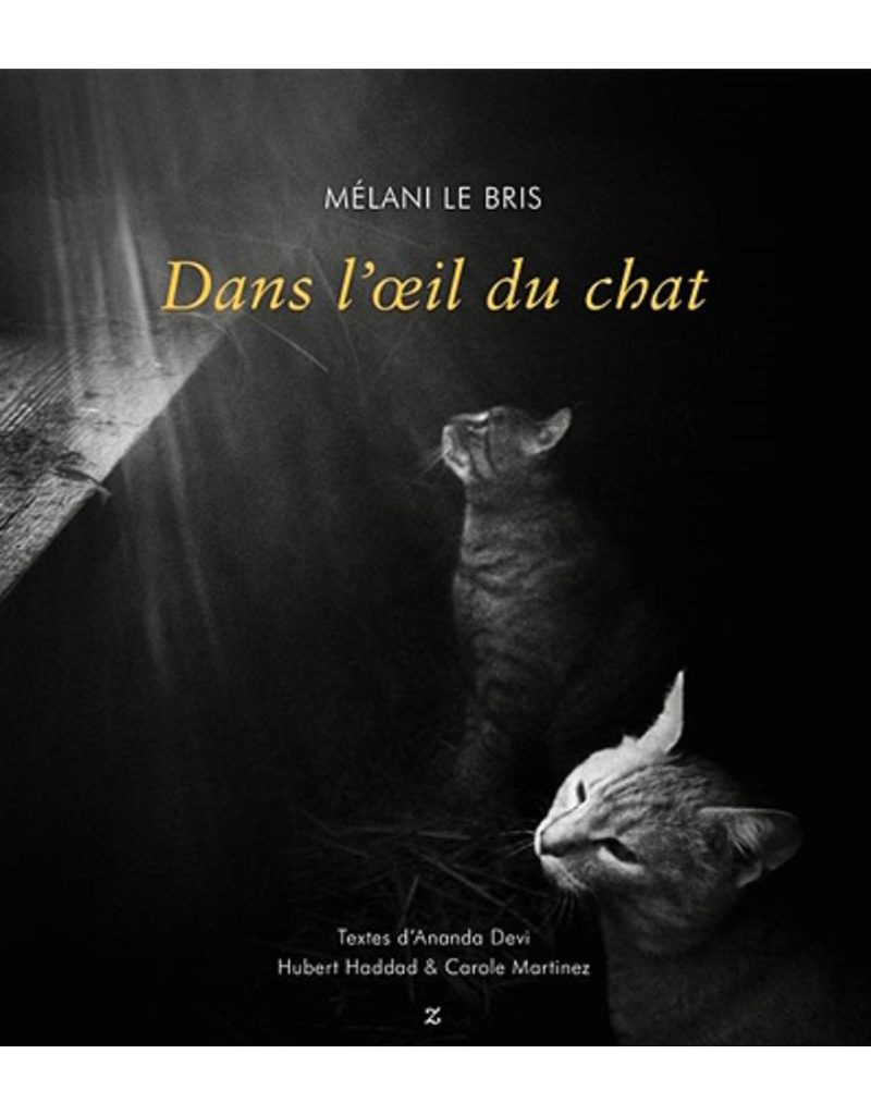 LE BRIS Mélani Dans l'oeil du chat