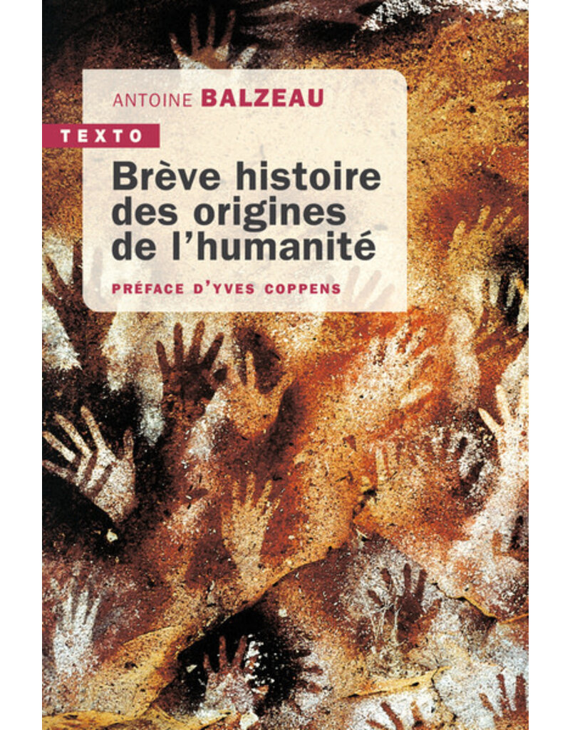 Brève histoire des origines de l'humanité