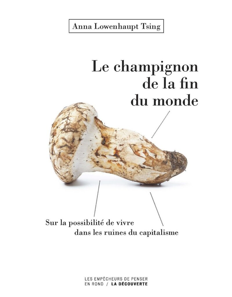 Le champignon de la fin du monde