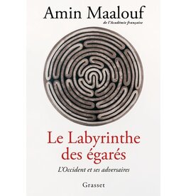 Le labyrinthe des égarés