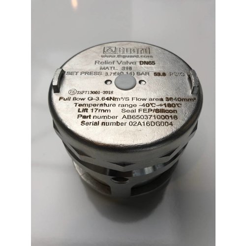 Válvula de alivio de seguridad BSP de 2.5", presión solo 3.71 bar GUARD™ Válvula de alivio de seguridad BSP de 2.5", presión solo 3.71 bar
