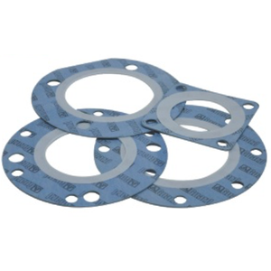 Gasket for 1,5" Flanged Air Inlet Ball Valve