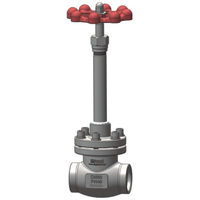 T75 Globe Valve DN40 met lange nek GUARD™ T75 Globe Valve DN40 met lange nek